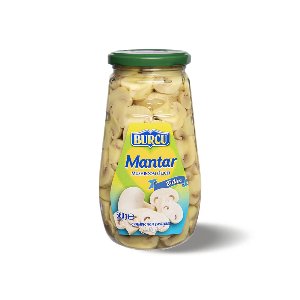RODAJA DE CHAMPIÑONES BURCU 580 CC