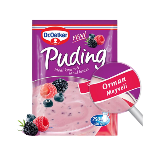 DR.OETKER PUDÍN CON FRUTOS DEL BOSQUE 81 GR