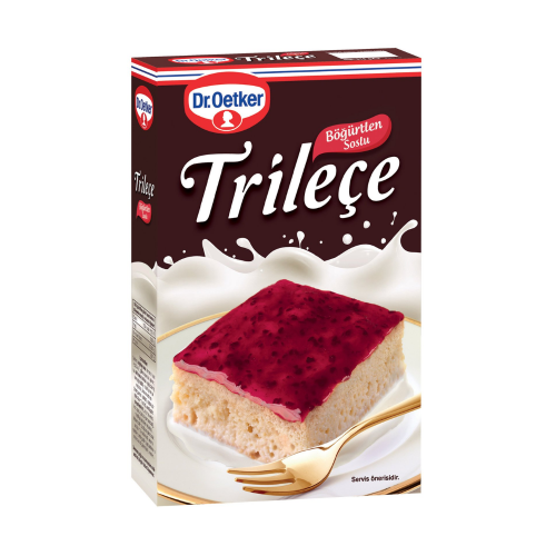 DR. OETKER TRESLECHE SALSA DE MORAS 315GR