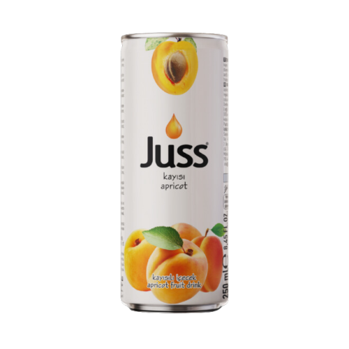 JUSS 250 ML MELOCOTÓN