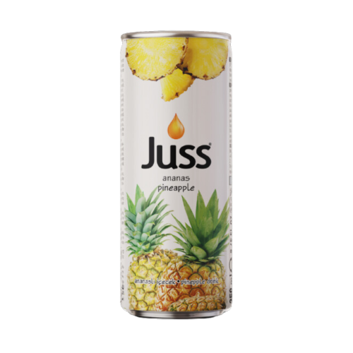 JUSS 250 ML PIÑA
