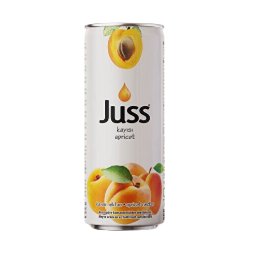 JUSS 250 ML ALBARICOQUE