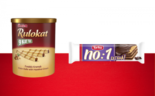 WAFER