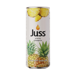 JUSS 250 ML PIÑA